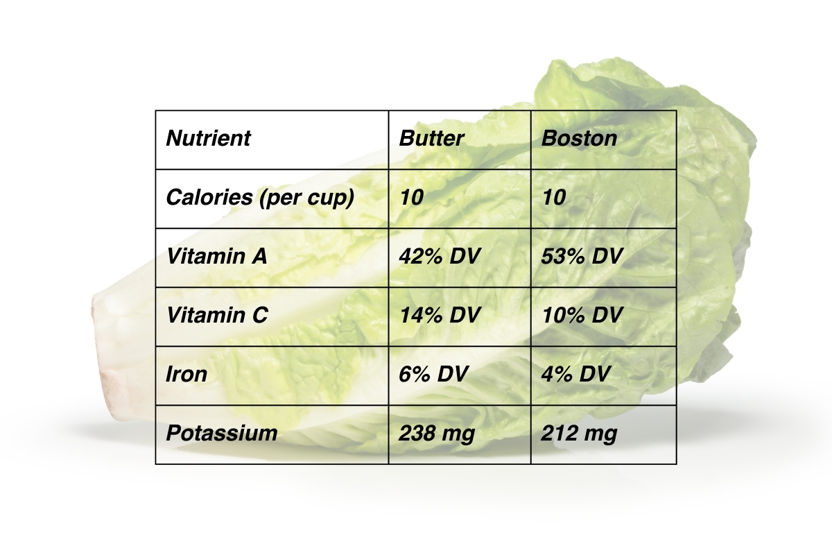 Boston vs Butter Lettuce nutritient