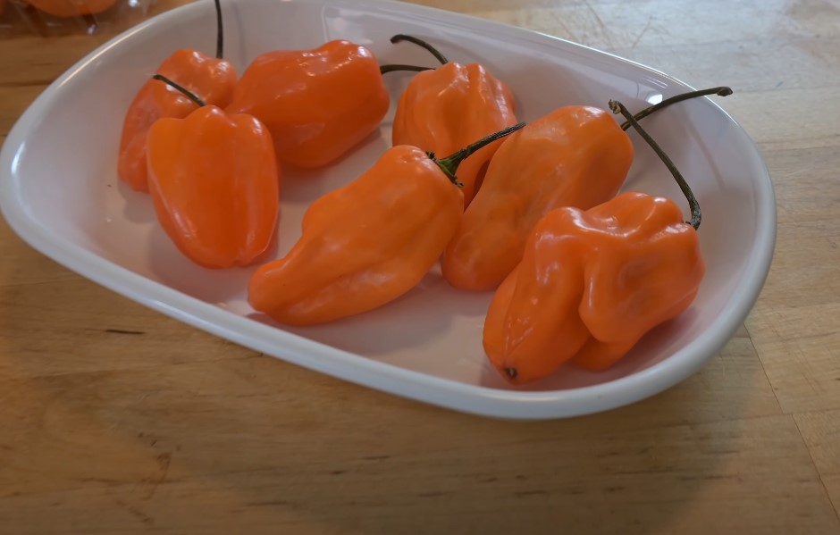 A plate full of orange habaneros