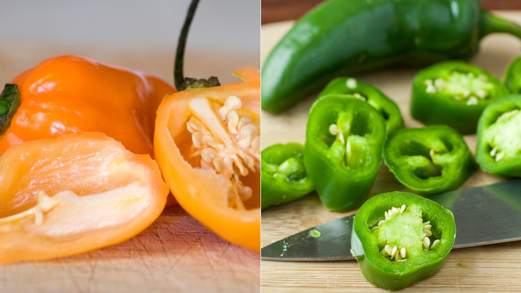 Comparison of habanero pepper on the left, and jalapeno pepper on the right